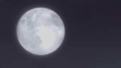 Hola cristian ayer el actor de voz del soldier Rick May cumplio 1 año muerto espero puedas verlo unos segundos y no lo ignores se que tf2 dejaste de jugarlo y fue parte de tu infancia espero no lo ignores y le rindamos tributo a alguien que fallecio besit