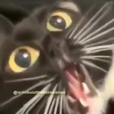 BT when Im done with it