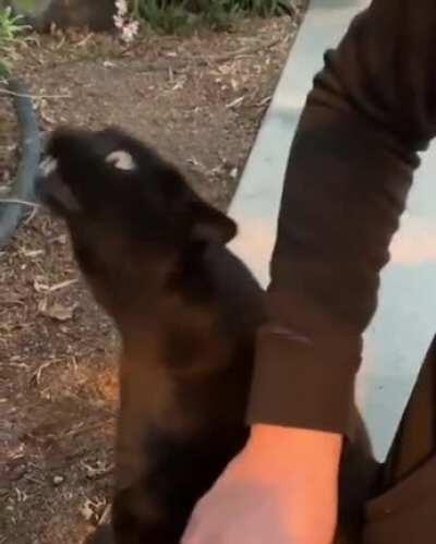 but are y'all ready for THIS conversation?