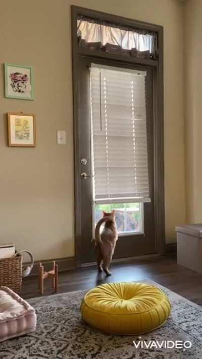 James had his first outdoor adventure today and he was NOT happy to be brought inside. Temper tantrum begins at 10 seconds.