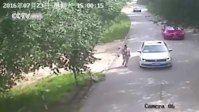 In 2016 in a Beijing zoo, a woman stepped out of her car in the drive-through tiger section, which obviously was strictly prohibited, and was attacked and dragged away by a tiger. She was later rescued but her mother, who went out to rescue her, was kille