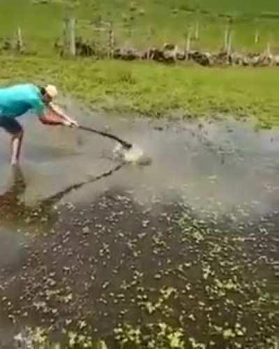 Nurse: sorry, can you please explain again why are you missing one ball?