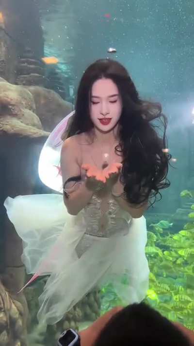 Mermaid show at aquarium
