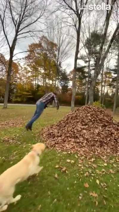 Who’s having more fun