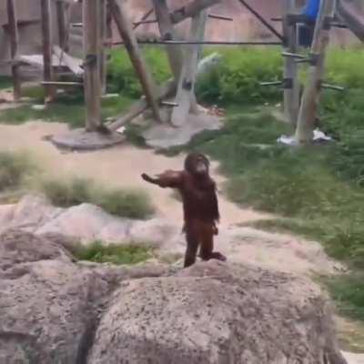 He does not ask there, he DEMANDS to have the orange mdrrr