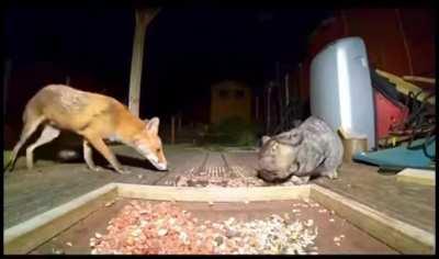 These days, you can't even eat in peace