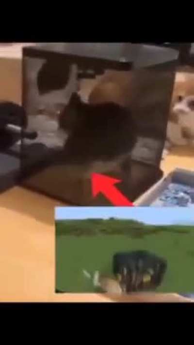 Yooo what's going on 😭😭😭😭