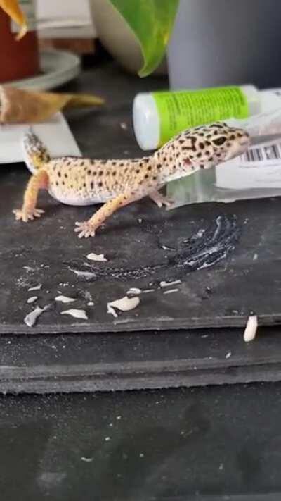 Who'd have thought liquid diets would be so messy?!