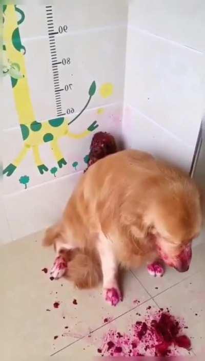 Circumstantial evidence. Not enough to prove guilty..