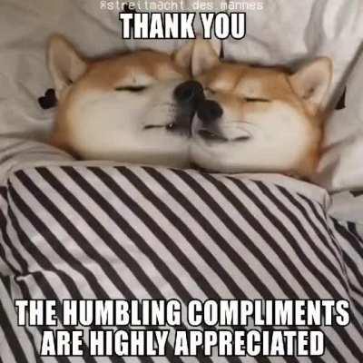 Why do they hate us so much?