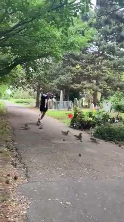 This jogger tosses nuts behind him as he runs, and the local Squirrels recognize him now...