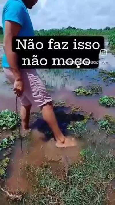 Stingray isn't a stepping stone 