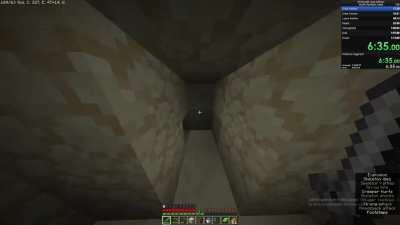 I was speedruning Minecraft and this happened to me