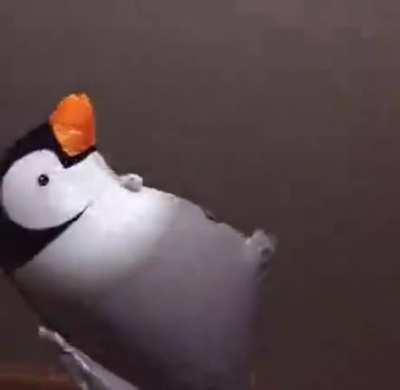 a u o ae a u o ae a u o ae