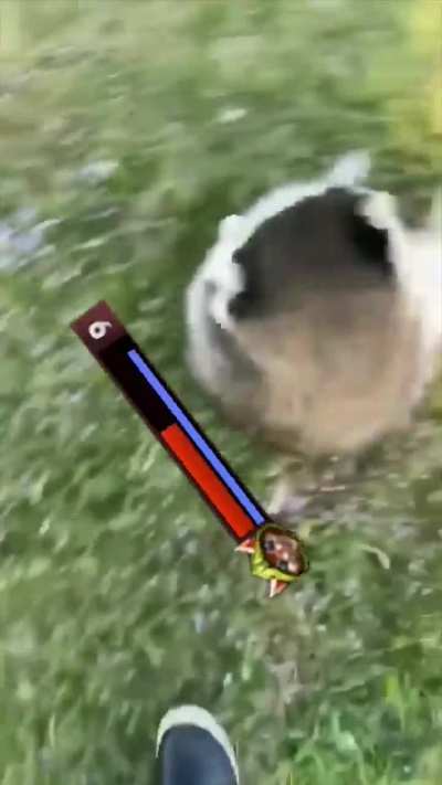 POV: you play vs Hoodwink as Ringmaster