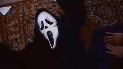 Why the fuck do I love this so much