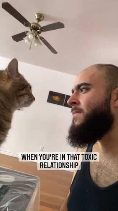 Cat: I love you but I hate you