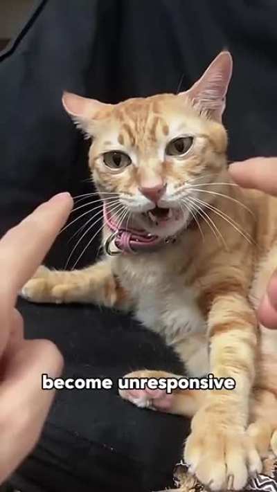 Single processor wunk