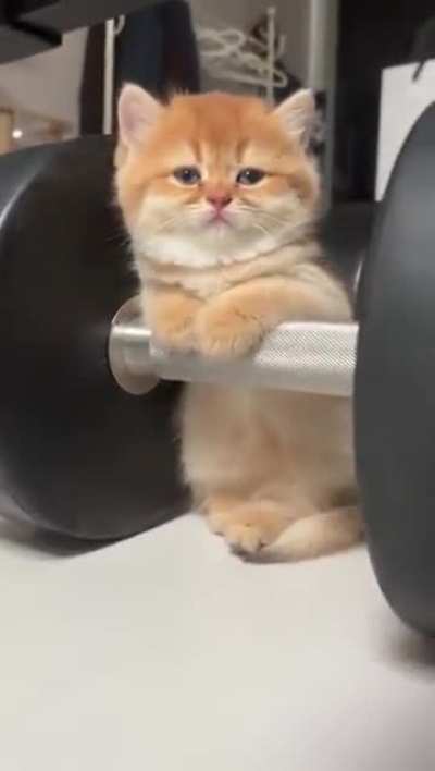 Personal trainer caught sleeping on the job