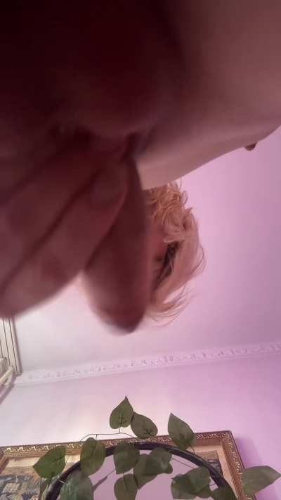 1 if you’d mouth it 2 if you’d ride it Each bold reply gets a vid
