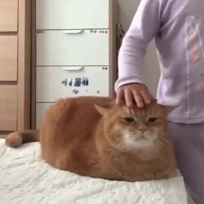 That thing is a straight up loaf.