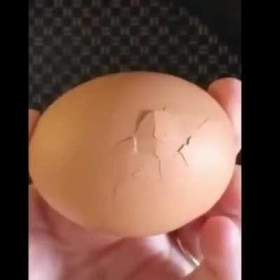 Unexpected hatchling