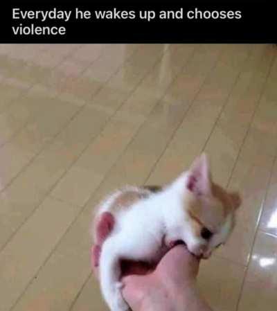 violence 😔 (ppl wanted longer version so enjoy :))