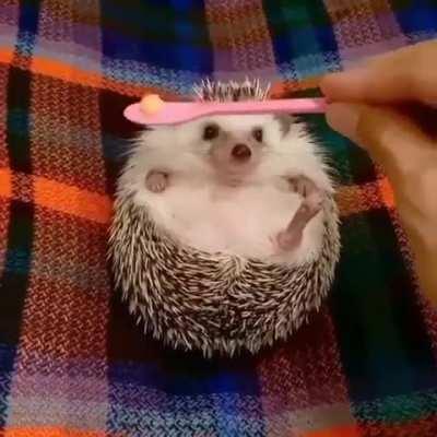 Food always fixes a mood