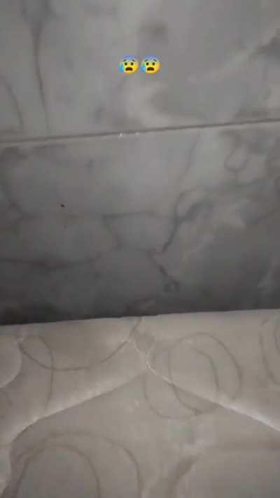 Korkudan yarısında kapattım videoyu