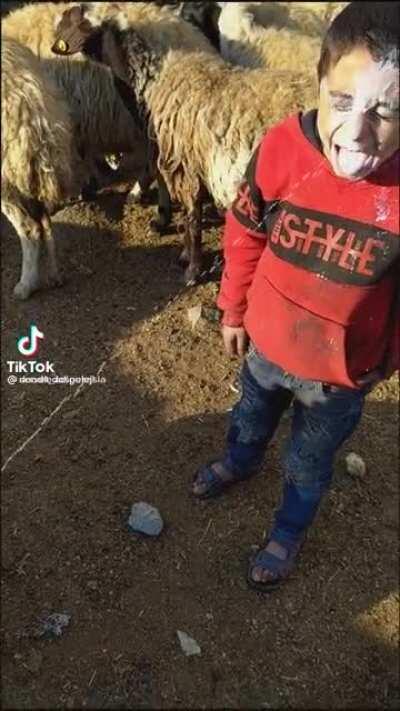 NADIE:. FANS DE KALATORAS: