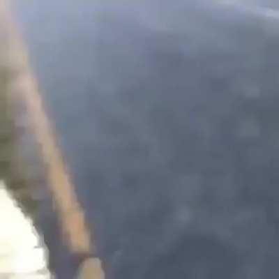 cellbits - Video #9133