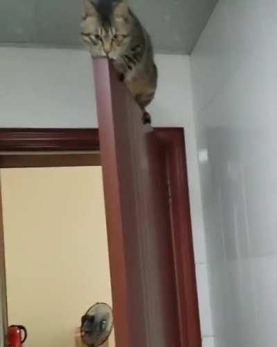 Couldn't Find A Better Place To Sleep