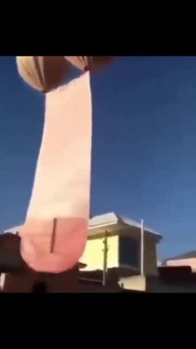 Hey look at that bal... Nvm