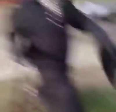 Yeah the corruption mod may be edgy but the music is a certified bop