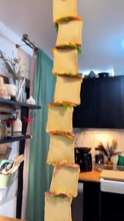 Ham and cheese sandwich… the long way. Because why not? 🤷‍♂️