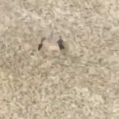 me when JumpOutTheHouse