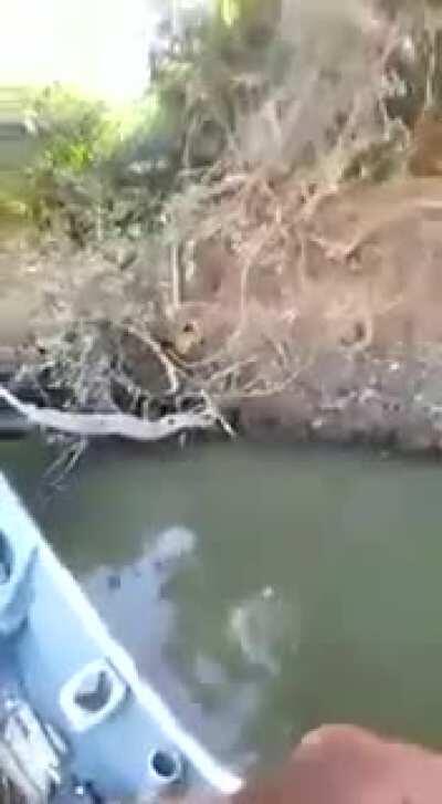 Giving a cookie to a monkey