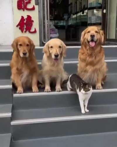 Obligatory Family Photo