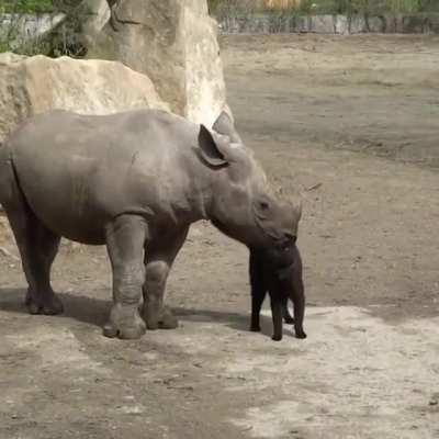 Zoo Maintenance Staff