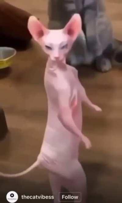 The cutest and funniest ever 😅😅😅