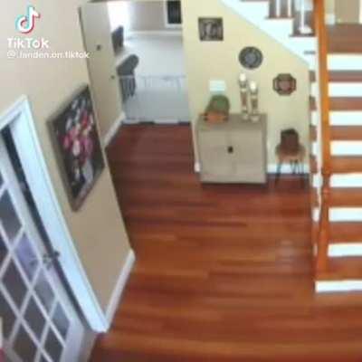 discordVideos - Video #2616