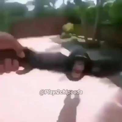 Denle upvote para subs gratis