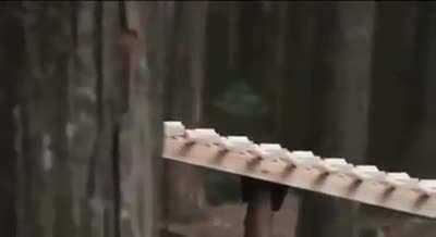 In a forest in japan The built-in xylophone plays a Bach melody as the wooden ball rolls. Impressive engineering work.