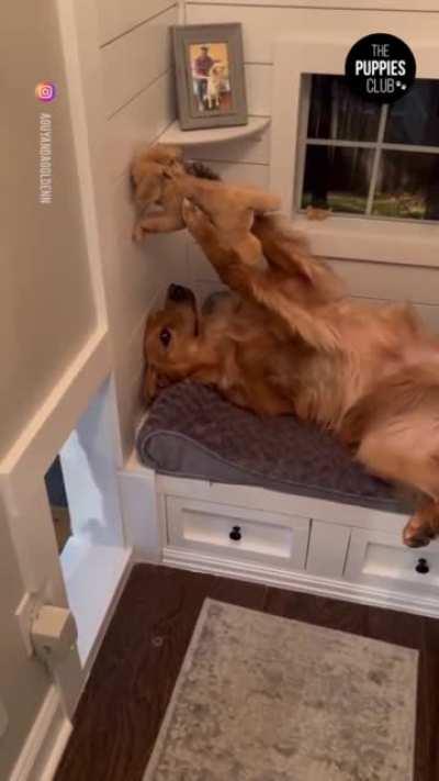 Африканское