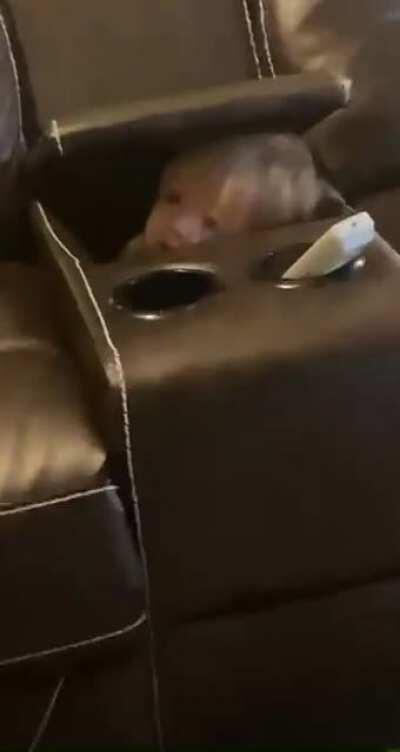 I don’t know what happened here