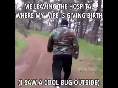 it was a caterpillar