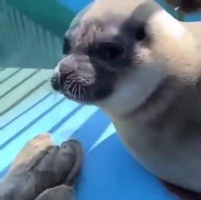 That smile. That damn smile.