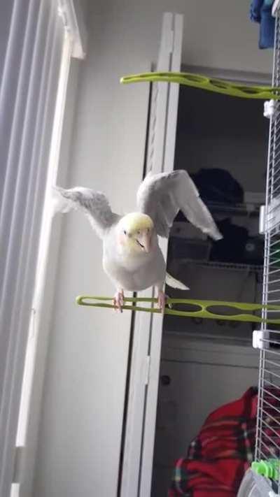 Peekaboo! Peekaboo! Peekaboo!