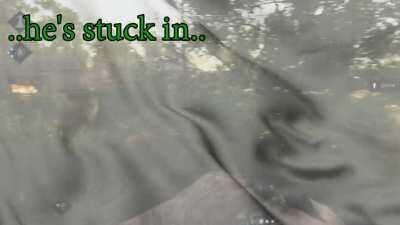 [Hunt: Showdown] My friend got stuck in the wall and then shot dead. I asked his killers for help to get him out. Very wholesome encounter in a game where you're supposed to kill on sight. <3