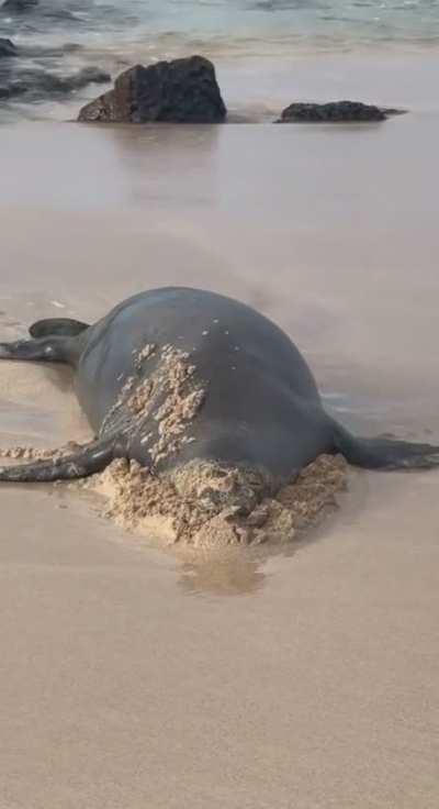 Straight ran out of f's to give.